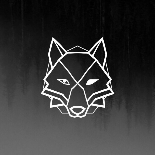 Group logo of Broken Wolves